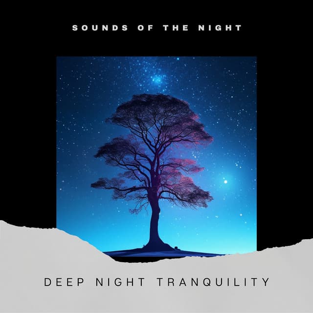 Deep Night Tranquility - Sounds of the Night