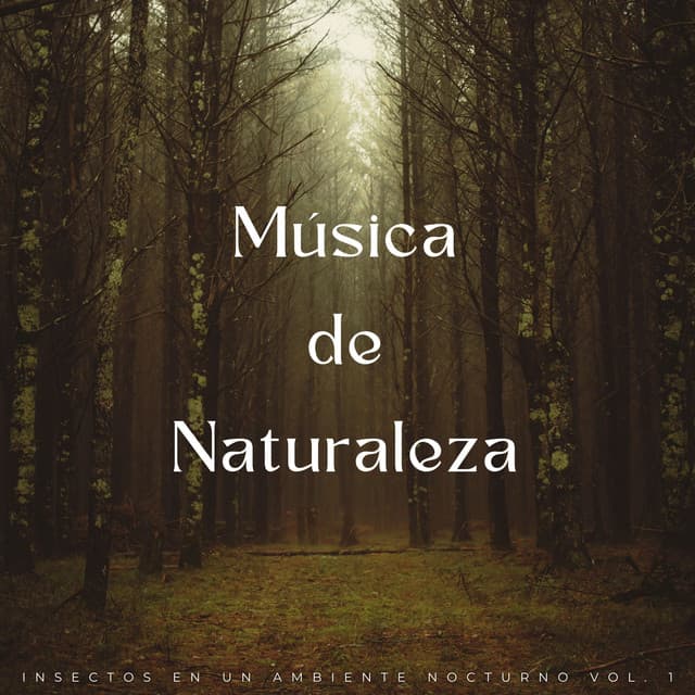 Música De Naturaleza: Insectos En Un Ambiente Nocturno Vol. 1 - Naturaleza del Himalaya