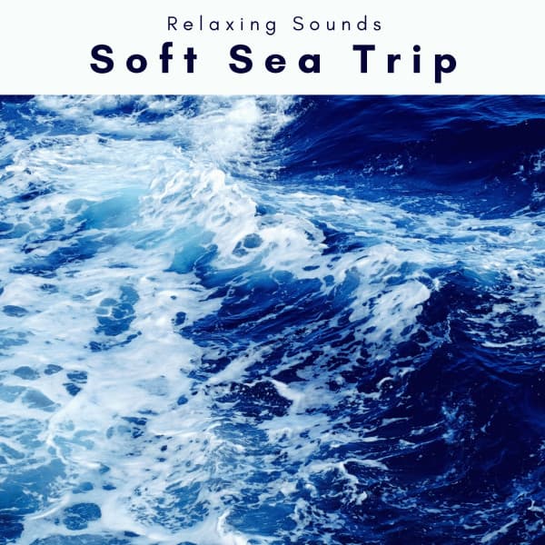 1 Soft Sea Trip - Sea of Noise