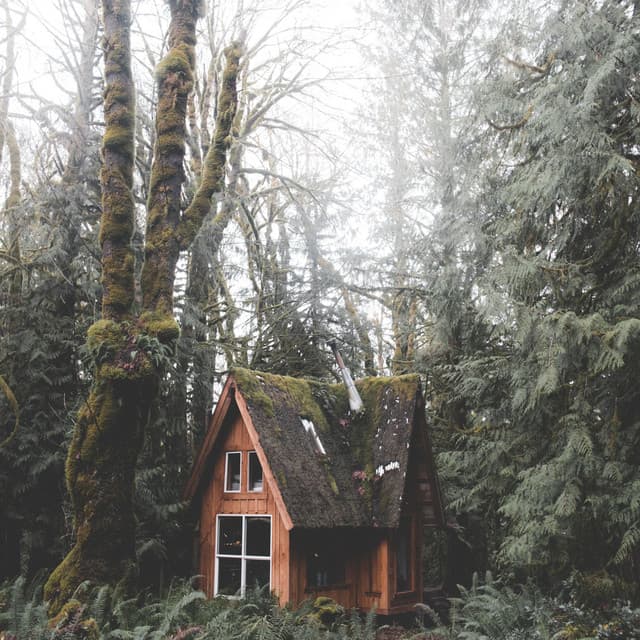 Sounds of Sleep | Meditation & Yoga Therapy - The Sleep Helpers