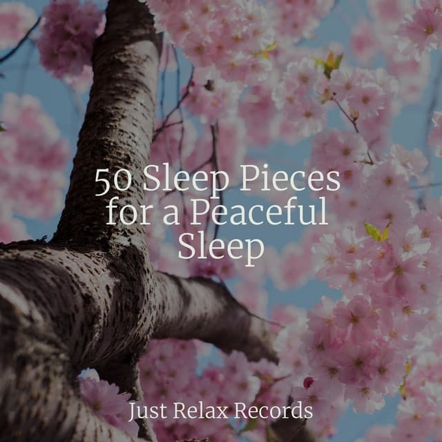50 Sleep Pieces for a Peaceful Sleep - Forest Sounds