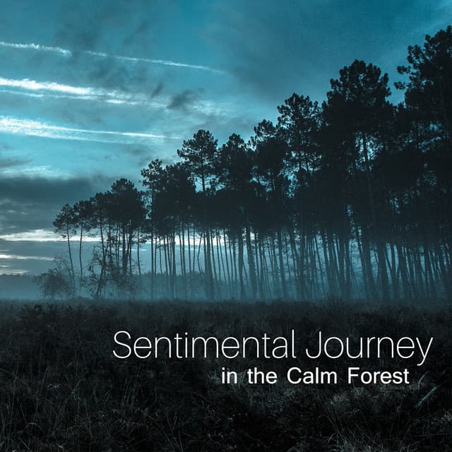 Sentimental Journey in the Calm Forest - Nature Collection