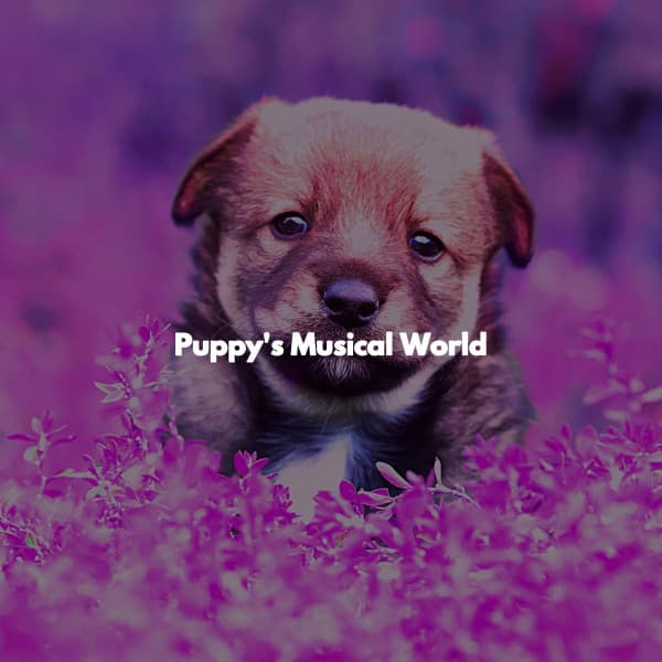 Puppy's Musical World - Smooth Dinner Jazz Group