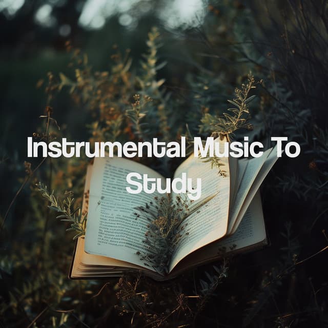 Instrumental Music To Study - Kundalini: Yoga, Meditation, Relaxation