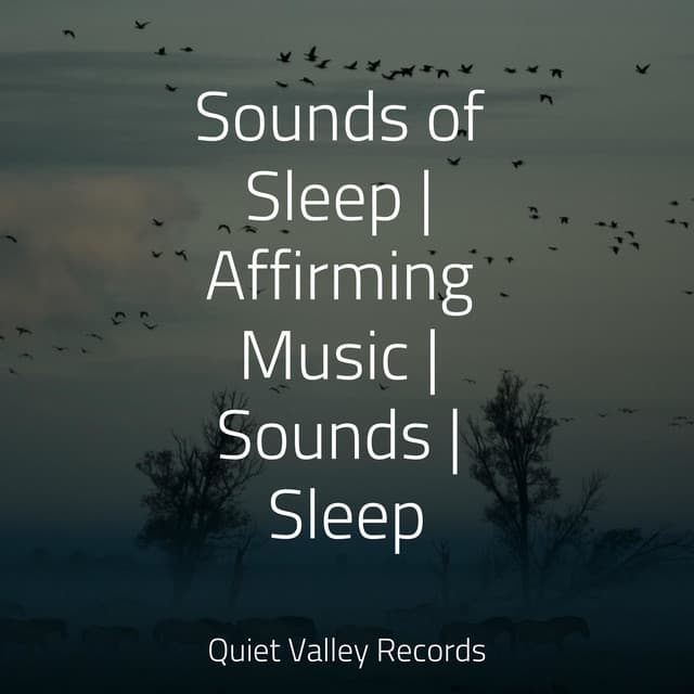 Sounds of Sleep | Affirming Music | Sounds | Sleep - Lush Rain Creators
