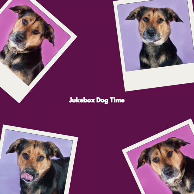 Jukebox Dog Time - Musica para Hoteles De Lujo