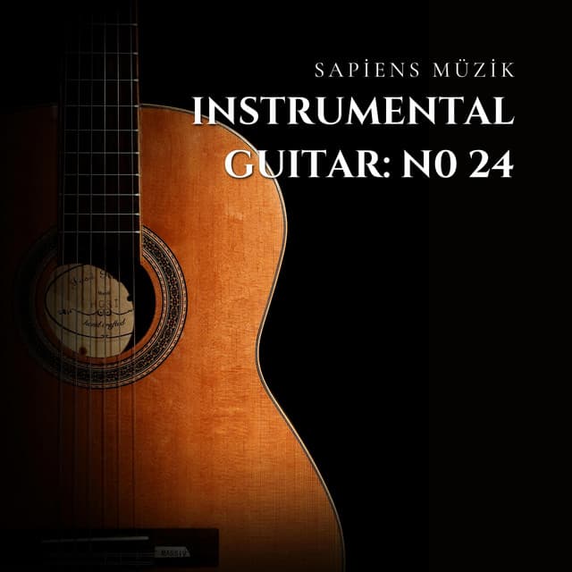 Instrumental Guitar: No 24 - Mauro Giuliani