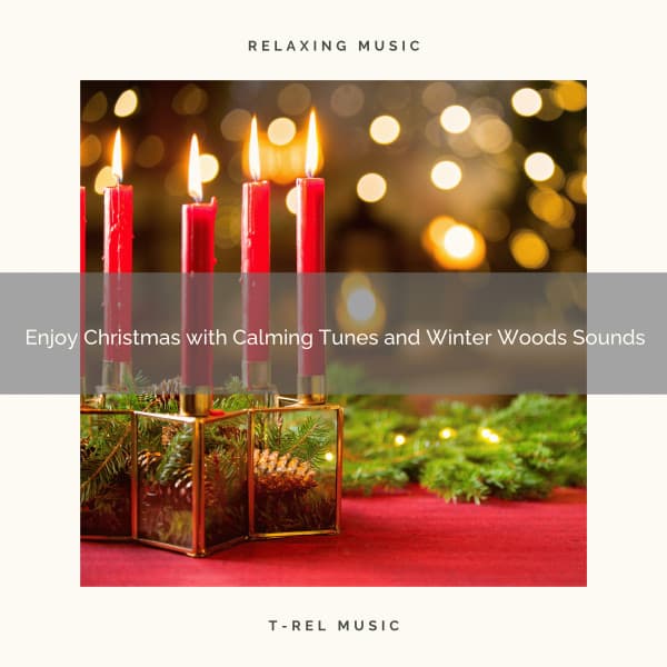Enjoy Christmas with Calming Tunes and Winter Woods Sounds - Relaxing Music Therapy