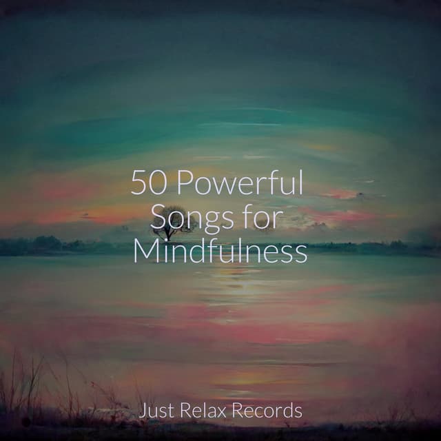 50 Powerful Songs for Mindfulness - kinderliedjes