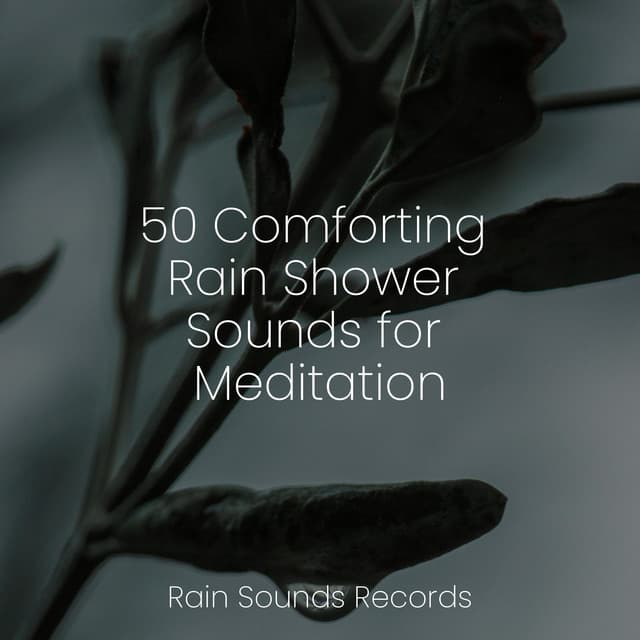 50 Comforting Rain Shower Sounds for Meditation - Meditation Rain Sounds