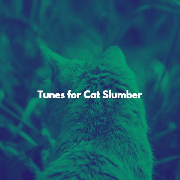 Tunes for Cat Slumber - Acoustic Study Music Beats