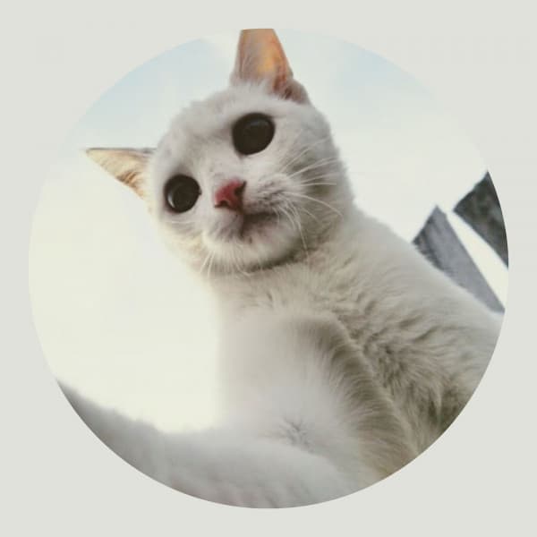 Hip Jazz Trio - Ambiance for Cutest Kittens - Cats Music Den