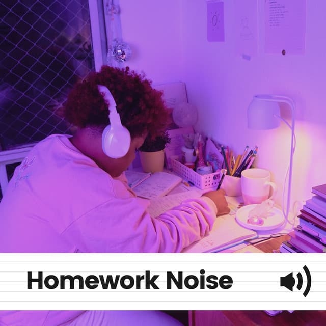 Homework Noise - White Noise Vacuum
