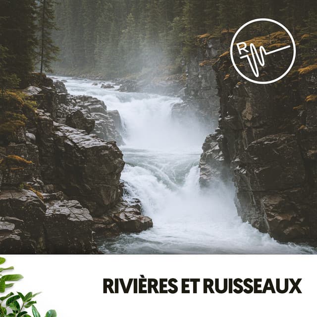 Rivières et Ruisseaux : Chants de la Nature - Ruido Blanco Hart