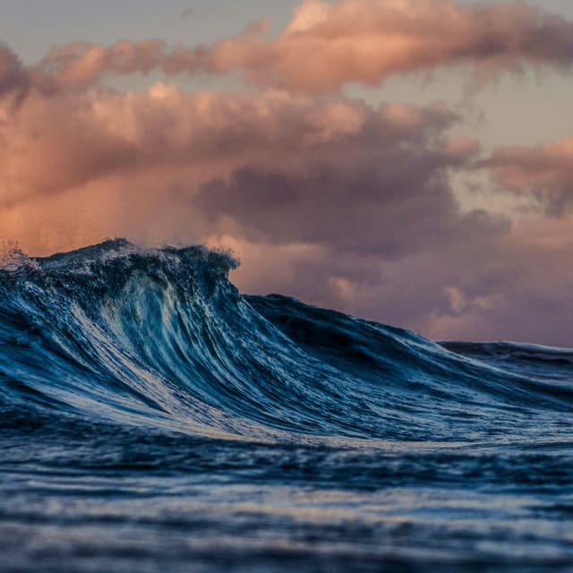 50 Ambient Echoes: Current Classics - Seascapers