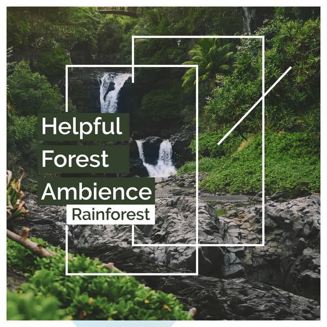 Helpful Forest Ambience - Rainforest