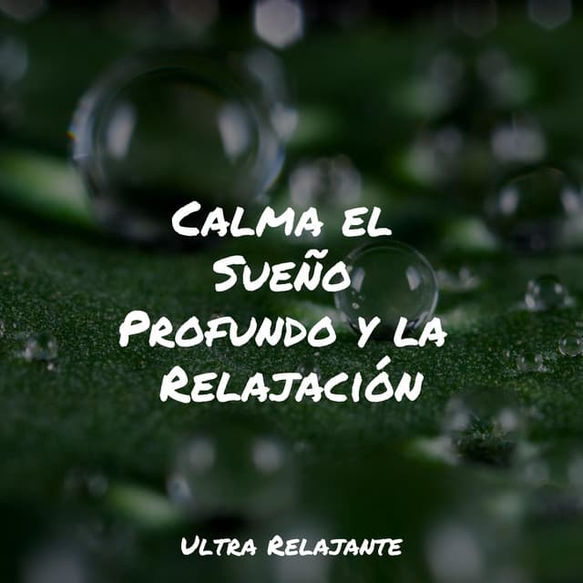 Calma el Sueño Profundo y la Relajación - Meditación Guiada
