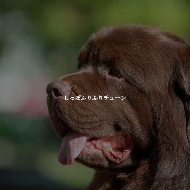 Lounge Smooth Jazz Deluxe