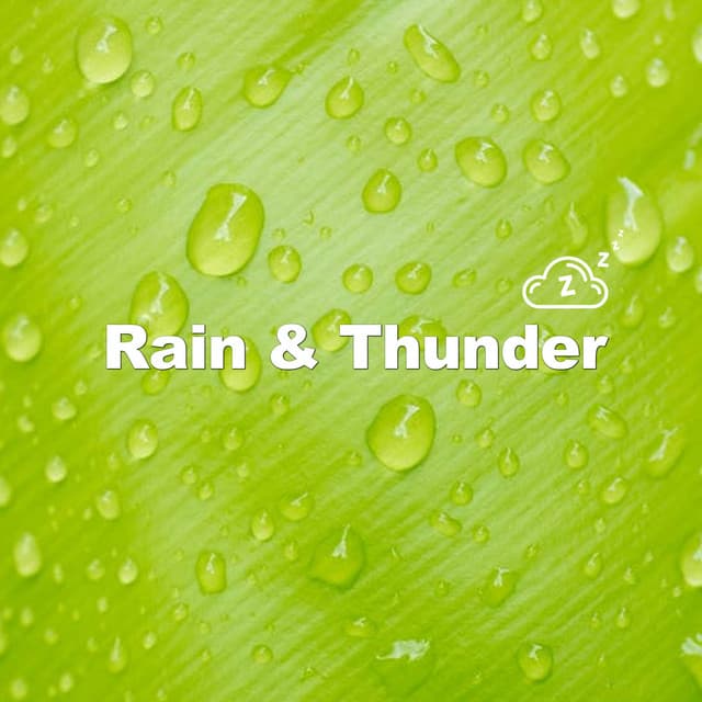 Puddle Reflections - Rain & Thunder