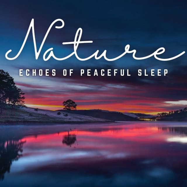 Nighttime Serenity: Echoes of Peaceful Sleep - The Sleep Crew