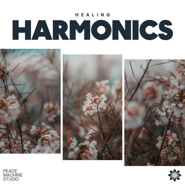 Healing Harmonics - Interstellar Meditation Music Zone
