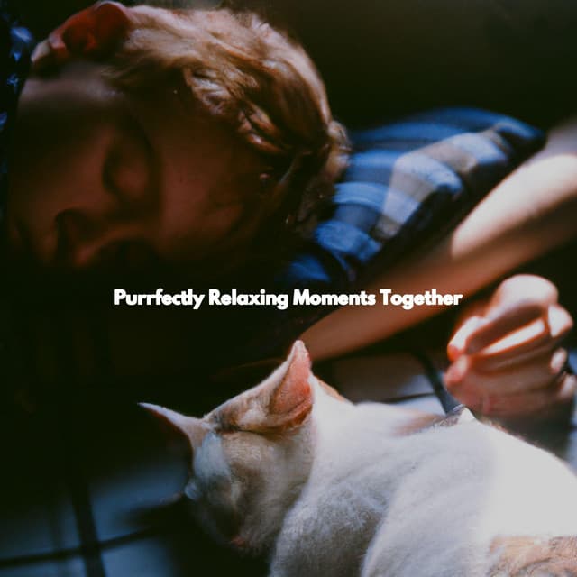 Purrfectly Relaxing Moments Together - Bossa Nova Jazz Lounge