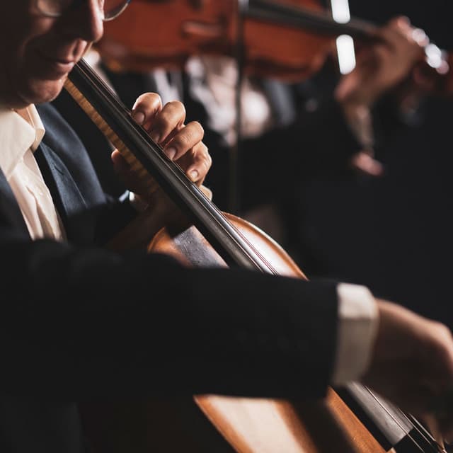 Evening Calm: Orchestra for Meditation - Charles Anderson