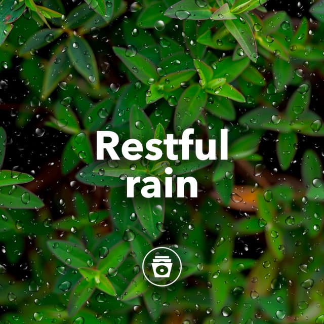 Restful Rain - Soothing Sounds