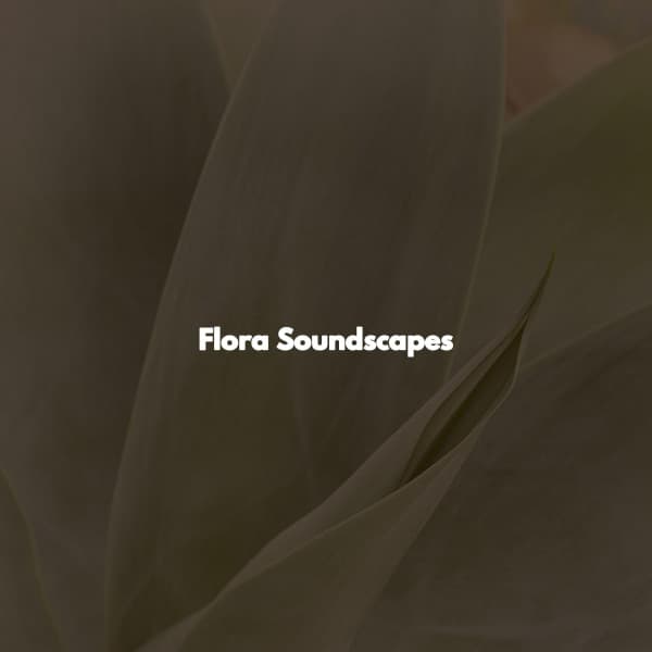 Flora Soundscapes - Soft Jazz Projects