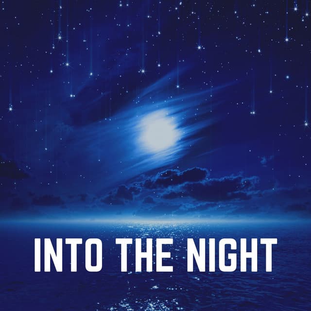 Into the Night - Binaural Landscapes