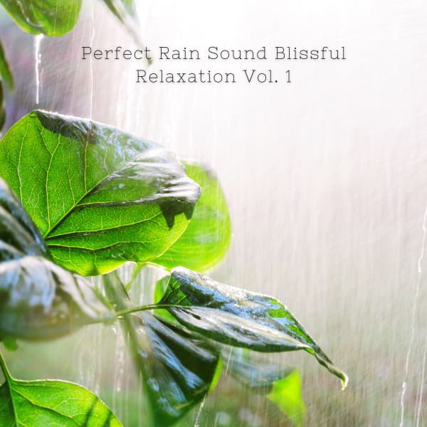 Perfect Rain Sound Blissful Relaxation Vol. 1 - Rain In Spain