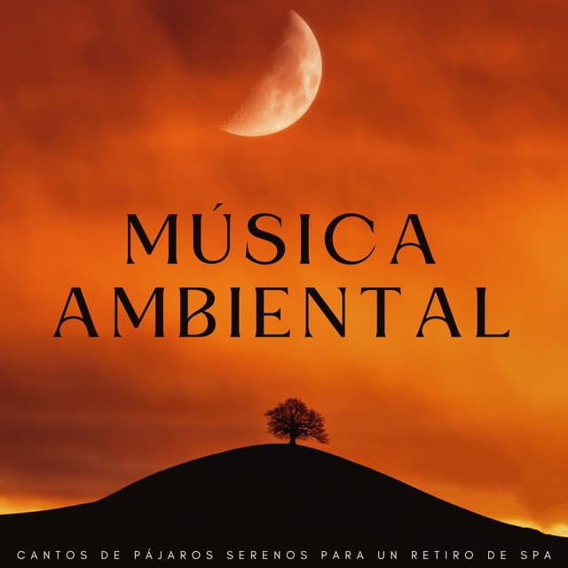 Música Ambiental: Cantos De Pájaros Serenos Para Un Retiro De Spa - Habitos Saludables