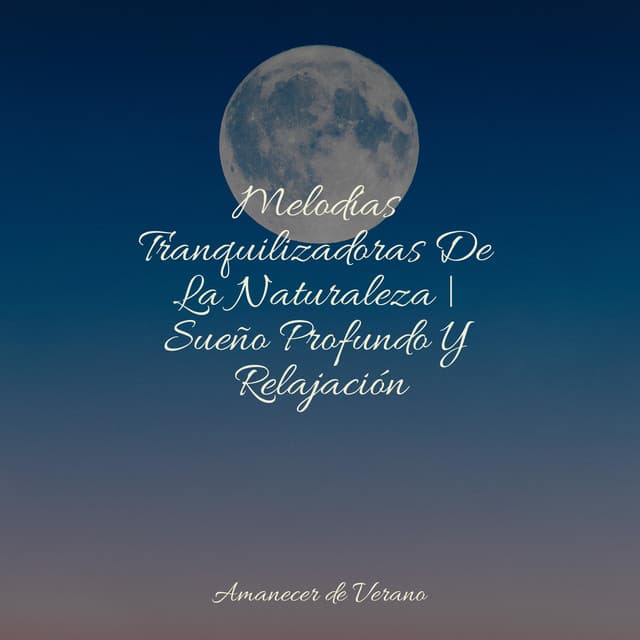 Melodías Tranquilizadoras De La Naturaleza | Sueño Profundo Y Relajación - Saludo al Sol Sonido Relajante
