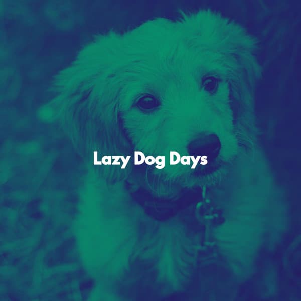 Lazy Dog Days - Chill Lounge