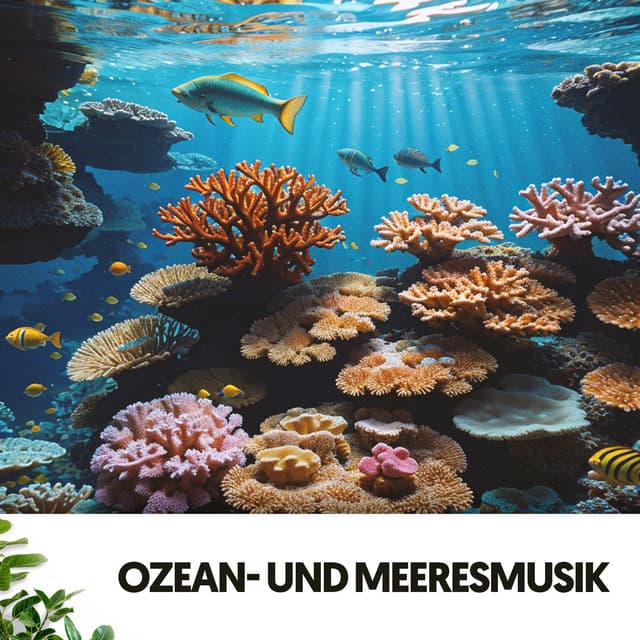 Ozean- und Meeresmusik: Melodien des tiefen Blaus - Relajacion