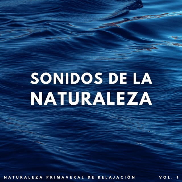 Sonidos De La Corriente: Naturaleza Primaveral De Relajación Vol. 1 - Sonidos de la naturaleza báltica