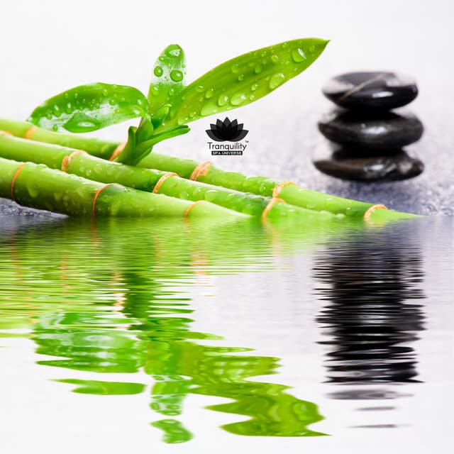 I Surrender to Deep Relaxation - Tranquility Spa Universe