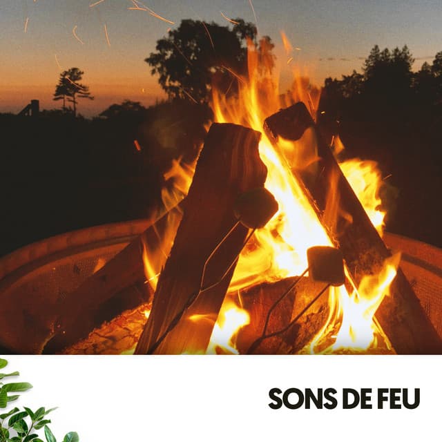 Sons de Feu : Fusion Flamenco - Fire Sounds