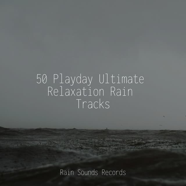 50 Playday Ultimate Relaxation Rain Tracks - White Noise Therapy