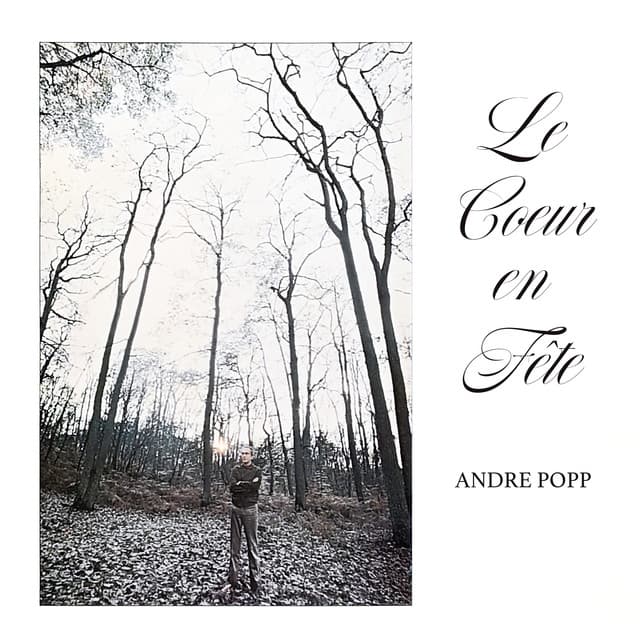 Le cœur en fête - André Popp