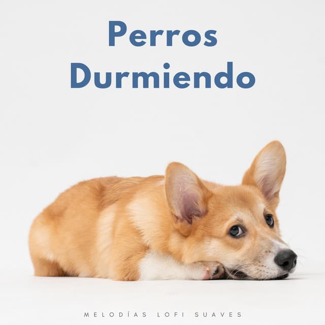 Lo-Fi para dormir