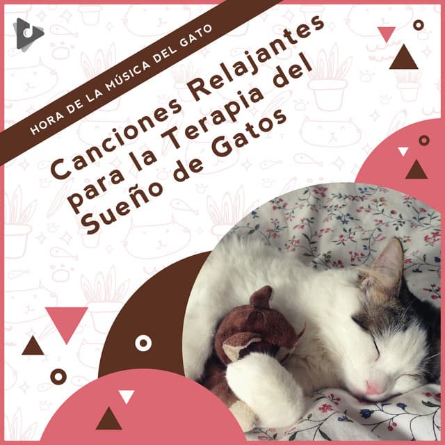 Canciones Relajantes para la Terapia del Sueño de Gatos - Hora de la Música del Gato