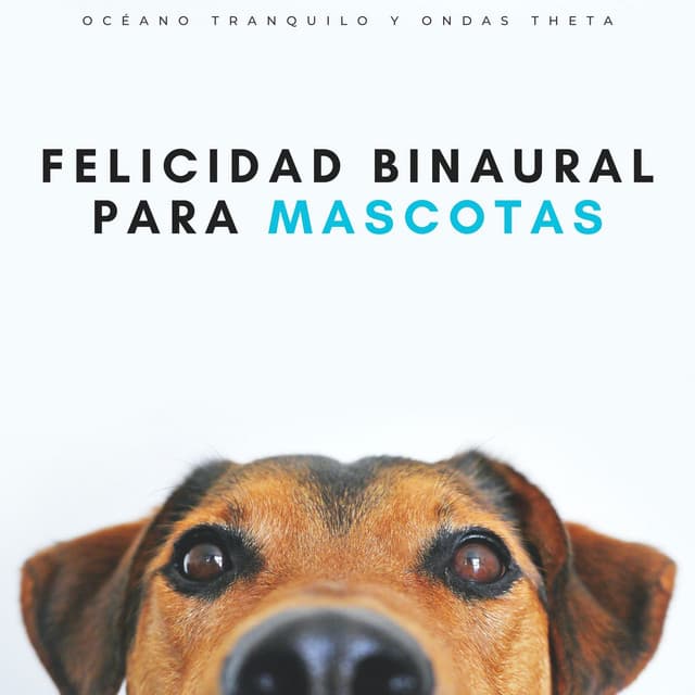 Felicidad Binaural Para Mascotas: Océano Tranquilo Y Ondas Theta - Latidos Binaurales Puros