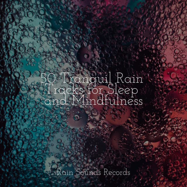 50 Tranquil Rain Tracks for Sleep and Mindfulness - Cascada de Lluvia