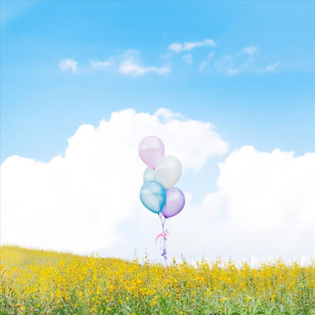 Sweet Dreamer - Heavenly Realms