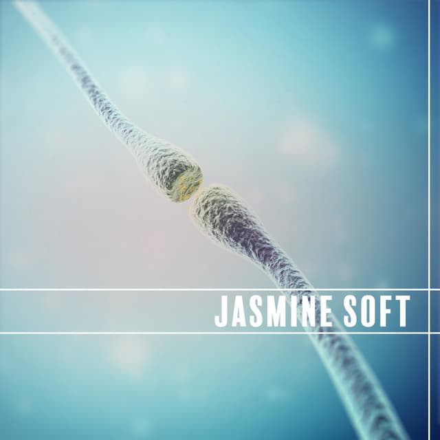 Balancing Your Hormones - Jasmine Soft
