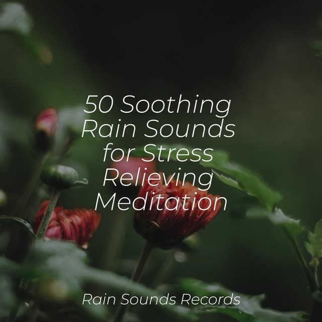 50 Soothing Rain Sounds for Stress Relieving Meditation - Sleep Sounds of Nature
