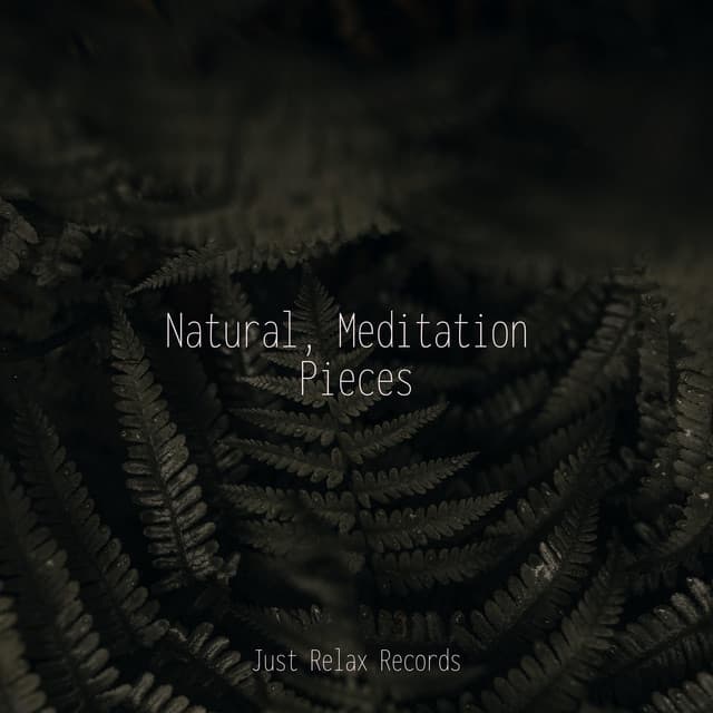 Natural, Meditation Pieces - Meditación
