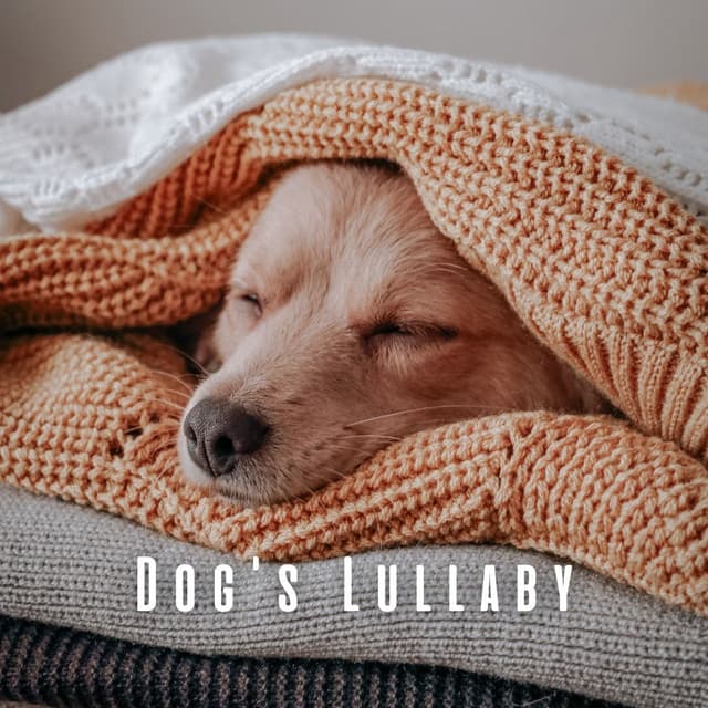 Dog's Lullaby: Lofi and Ambient Sounds for Pups - LoFi HipHop Guru