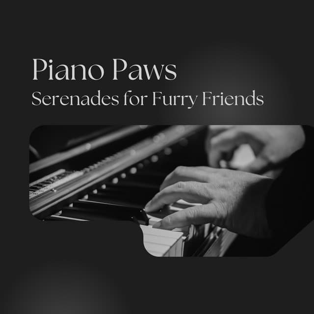 Piano Paws: Serenades for Furry Friends - Background Music Experience